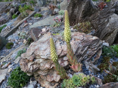 20150711_204054.jpg
