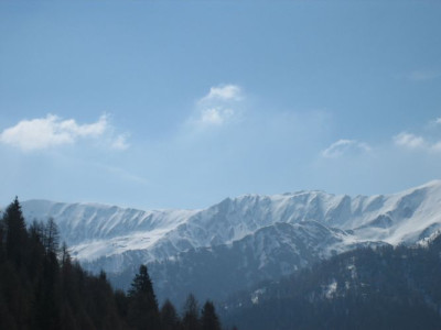 IMG_1076.jpg