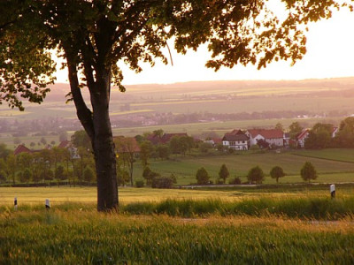 Mai_Mensing_Abendsonne.jpg