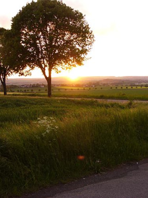 Mai_Mensing_Abendsonne_5.jpg