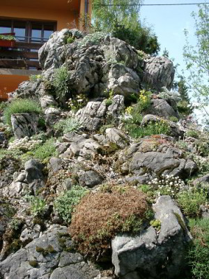 05060006_eSteingarten_Wendl.JPG