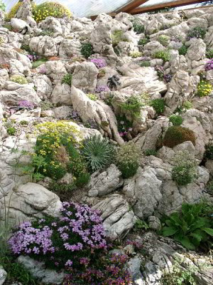 05060003_eAlpinum_Wendl.JPG