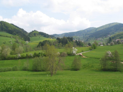 Lokal_LVII.jpg