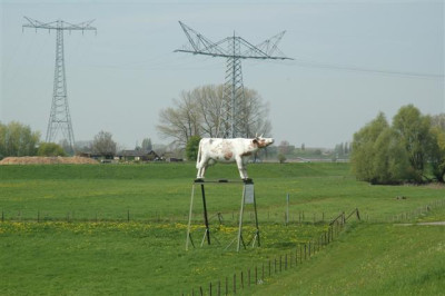 2006H184_Small.JPG