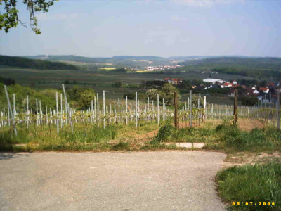 2006_0507Bild0006.JPG