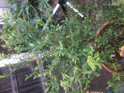 20150712_113646.jpg