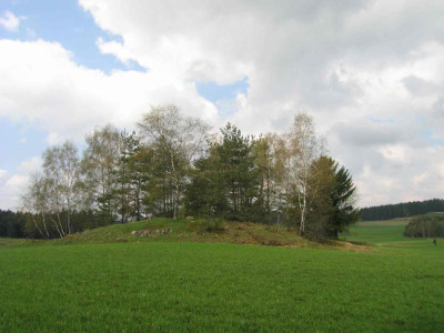 buehel2.jpg