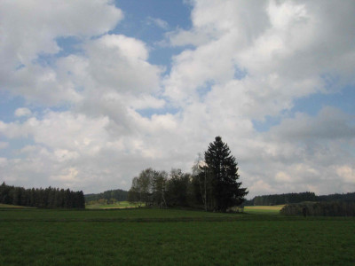 buehel5.jpg