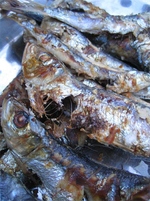 sardinen.jpg