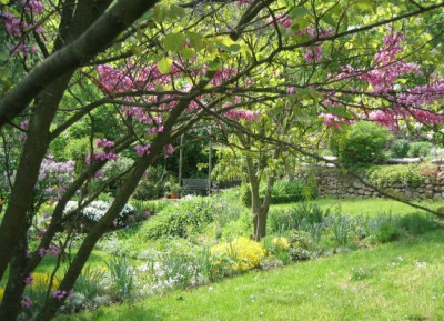Garten_20060509.jpg