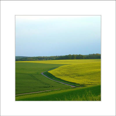 Feldansichten_3_09-05-2006.jpg