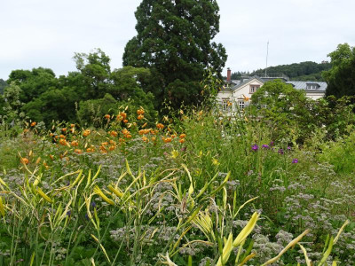 DSC03574.JPG