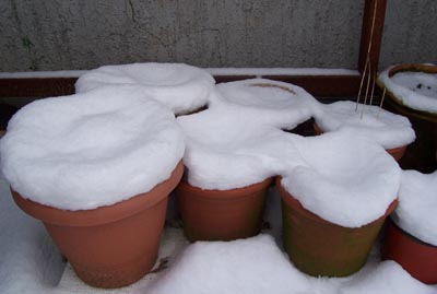schneetopf.jpg