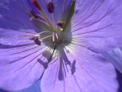 fruhling_06_019.jpg
