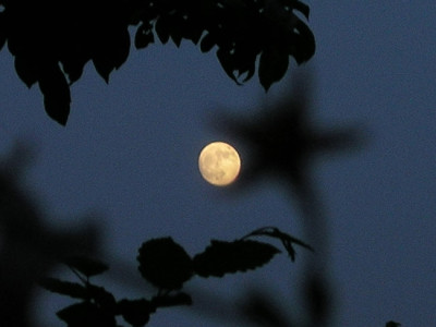 Mond_110506_k.jpg