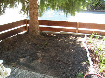 PICT0027a.jpg