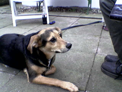 Bild0002.jpg