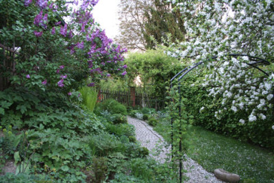 Mein-Garten-Mitte-Mai-2.jpg
