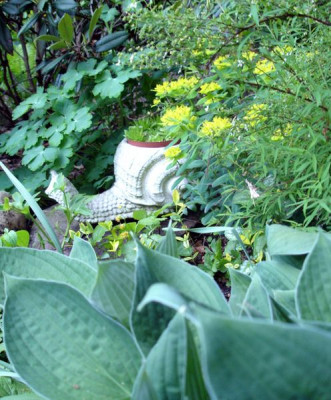 DSC01983a.JPG