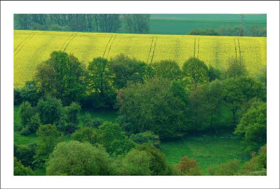 Feldansichten_1_13-05-2006.jpg