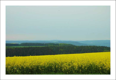 Feldansichten_1_13-05-2005.jpg