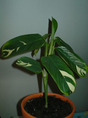 KIF_2955_k2.jpg