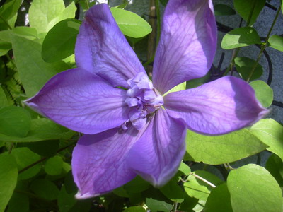 fruhling_06_021.jpg