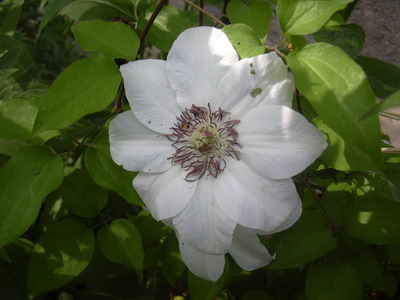 fruhling_06_031.jpg