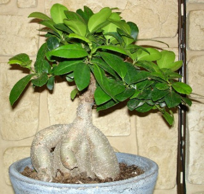 DSC02282xx.JPG