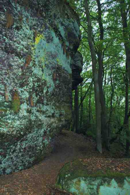 Mein_Waldweg_2_14-05-2005.jpg