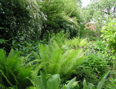 katringarten_mittemai1.jpg