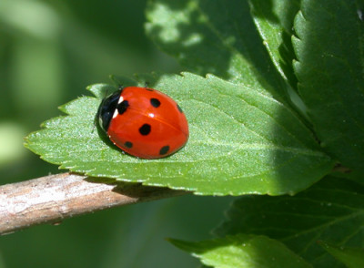 DSCN6259_01.jpg