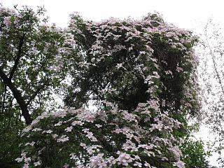 IMG_0994.JPG