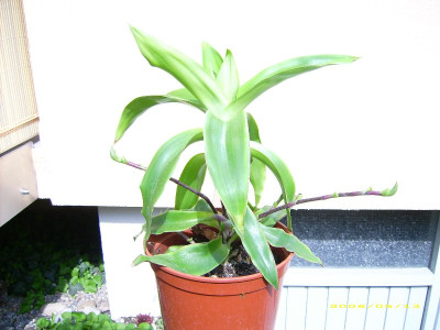 JD500137_800x600.jpg