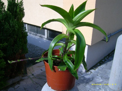 JD500141_640x480.jpg