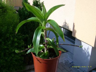 JD500144_640x480.jpg