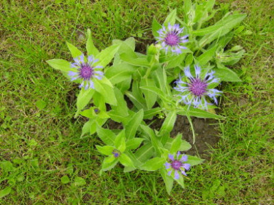 PICT0873.JPG