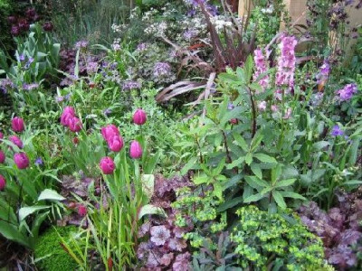 The_North_East_England_Passion_Garden.jpg