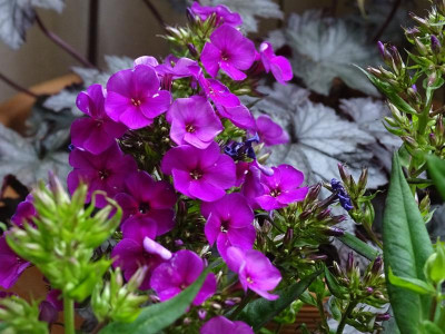 DSC03615.JPG