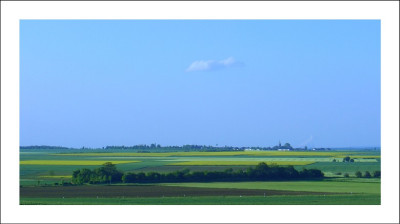 Feldansichten_7_18-05-2005.jpg