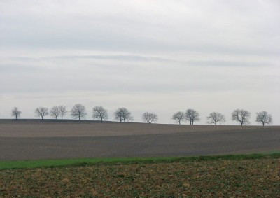 BAUME_II_MO_191107.jpg