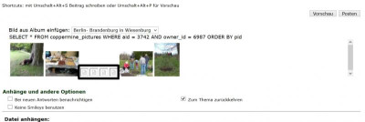 Galeriebilder_ominoes.jpg