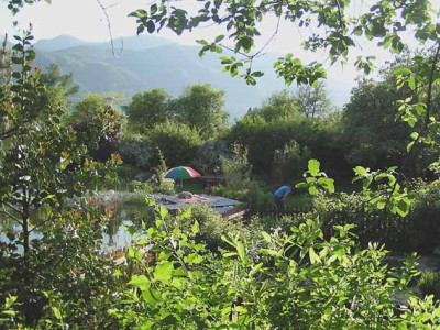garten_uebersicht.jpg