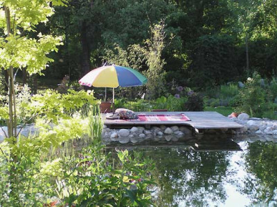 holzdeck_teich.jpg