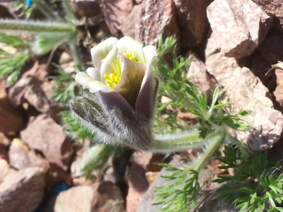 20150419_135815.jpg