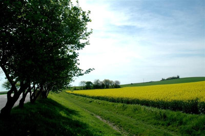 2005A139_Large_Medium.JPG