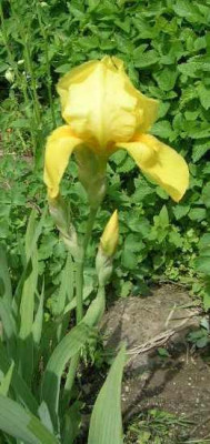 DSCN3945.jpg