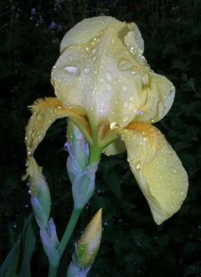 DSCN3960.jpg