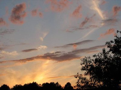 flockerlamhimmel.jpg