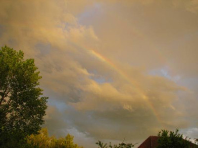 grune_wolke1.jpg